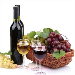 千岸優(yōu)選紅酒加盟 開啟法國(guó)葡萄酒連鎖事業(yè)的投資指南
